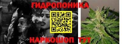 шишки Наро-Фоминск